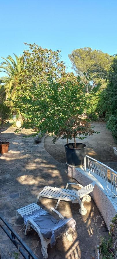 Appartement Et Sa Grande Terrasse En Rez De Jardin Сен-Агулф Екстериор снимка